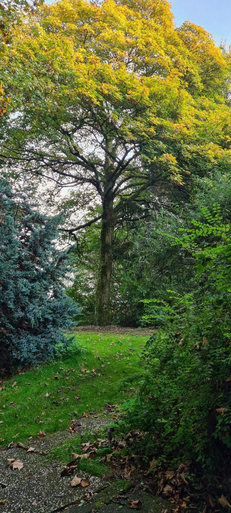 Rust En Stilte In De Natuur Onstwedde Eksteriør billede